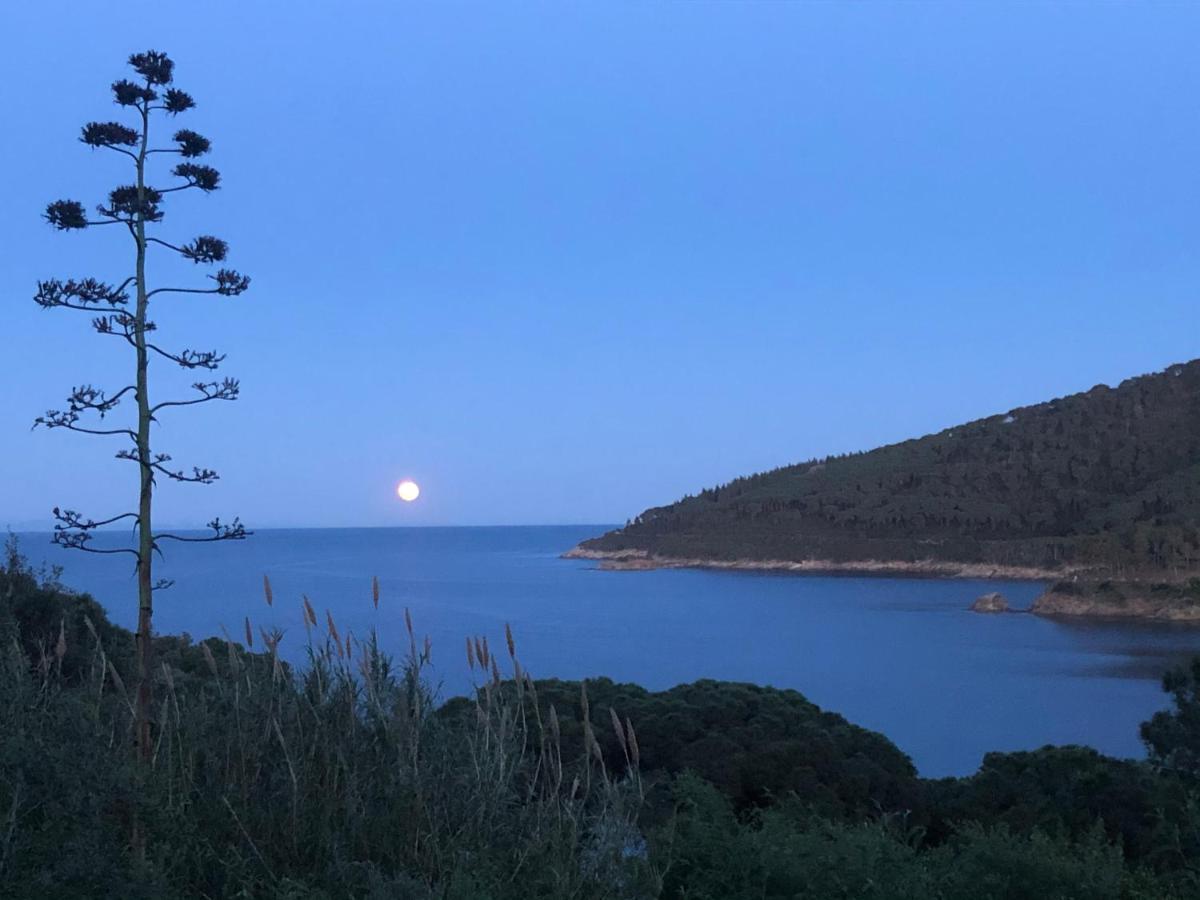 Case Dei Limoni Sul Mare Capoliveri  Eksteriør billede