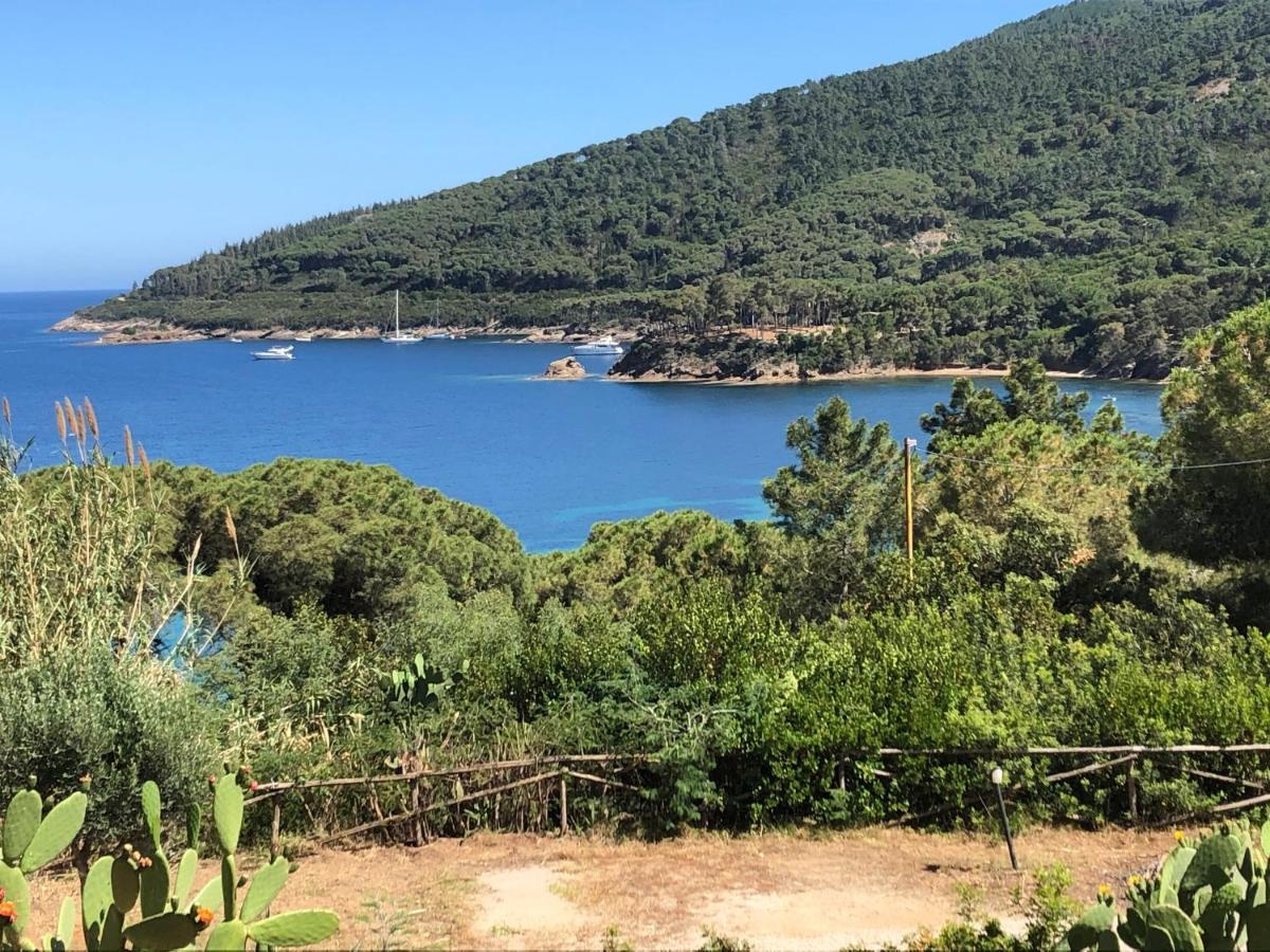 Case Dei Limoni Sul Mare Capoliveri  Eksteriør billede