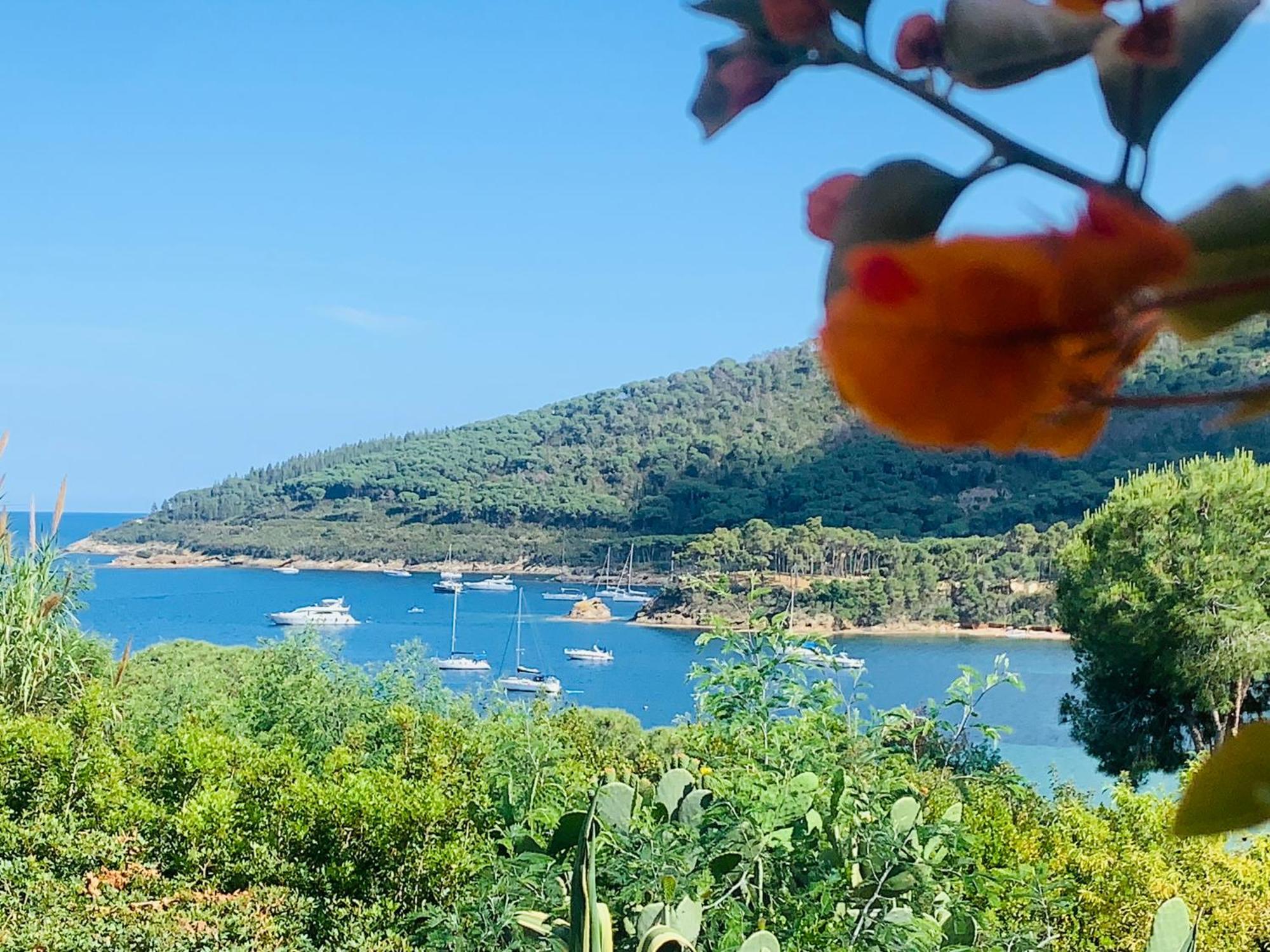 Case Dei Limoni Sul Mare Capoliveri  Eksteriør billede