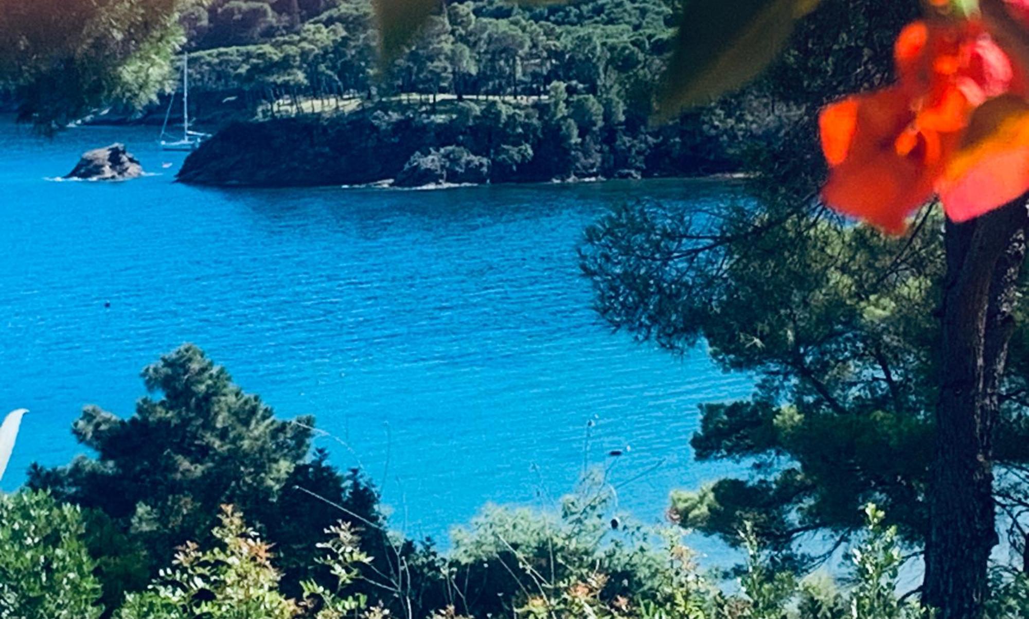Case Dei Limoni Sul Mare Capoliveri  Eksteriør billede